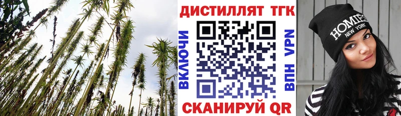 ТГК гашишное масло  Купить  Никольское 