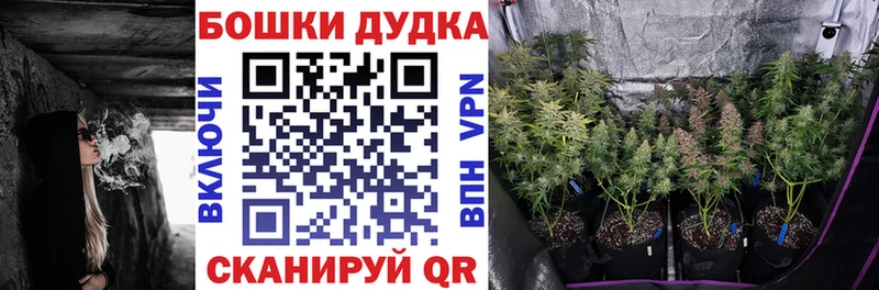 Бошки марихуана Bruce Banner  Купить закладки  Никольское 